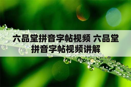 六品堂拼音字帖视频 六品堂拼音字帖视频讲解